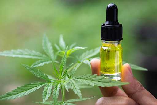 CBD Oil for Dogs