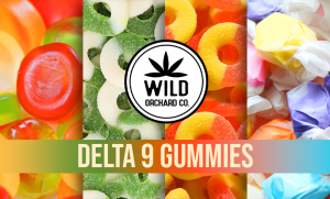 The Best Delta-9 THC Gummies on Sale