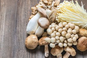 The Medical advantages of Mushrooms