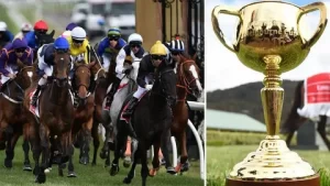 Melbourne Cup: Accessing Reliable Information